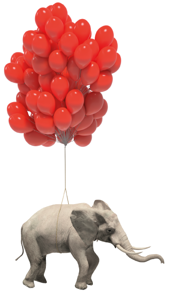 Com L'Eléphant, agence de communication à Nantes et Vallet