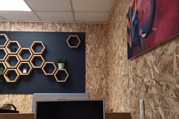 agence communication Vallet com l'elephant